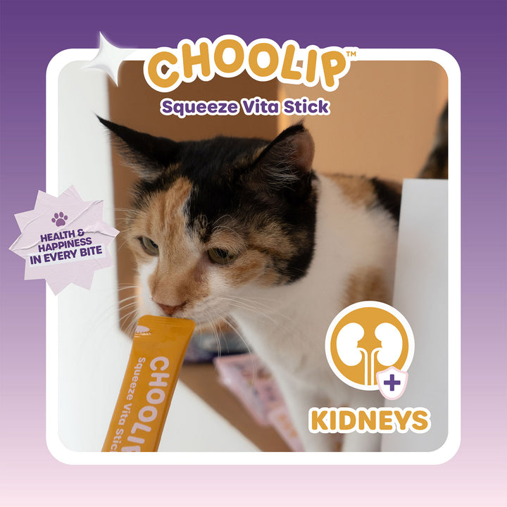 Choolip Squeeze Vita Stick Pouches - Vitamin-Infused Pet Treats