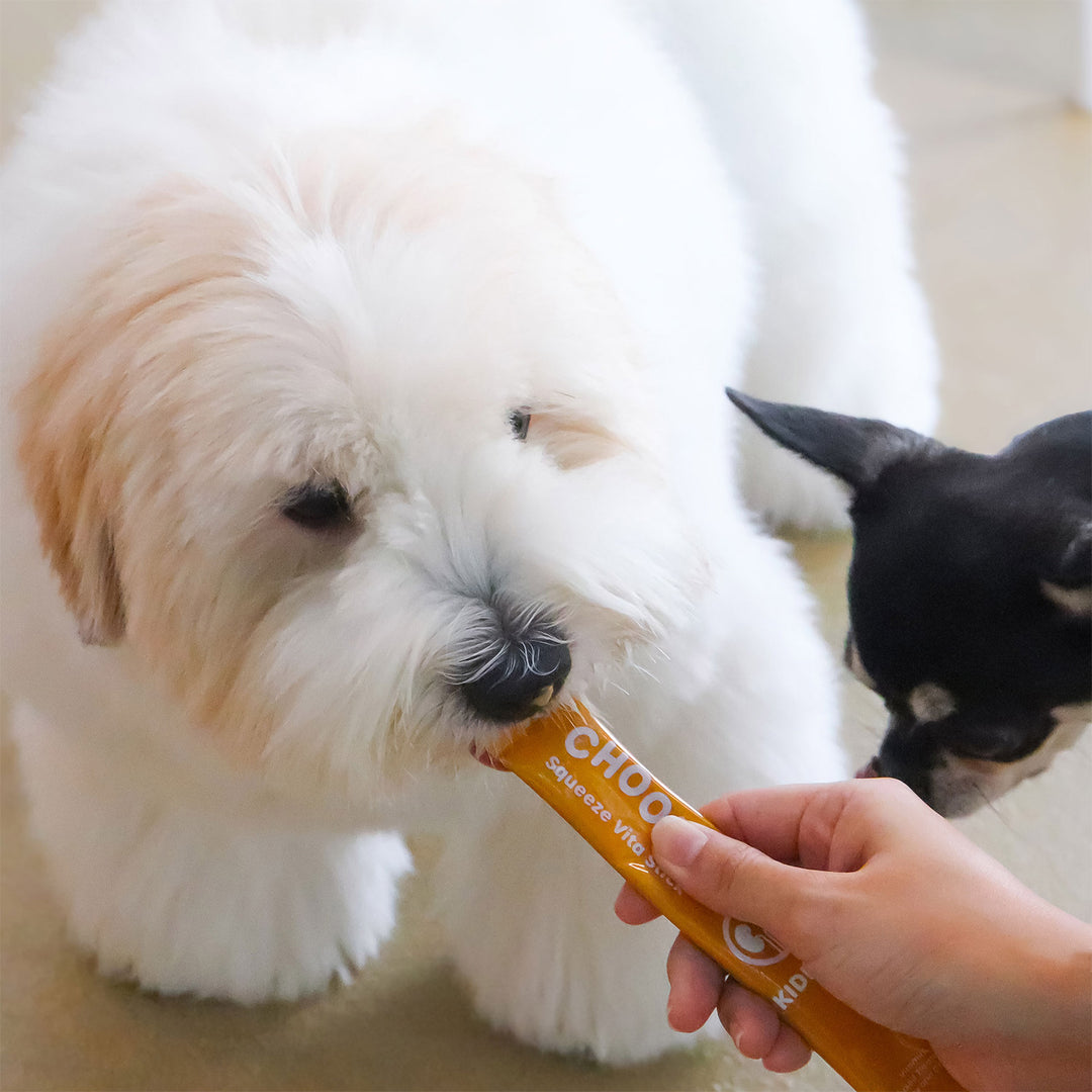 Choolip Squeeze Vita Stick Pouches - Vitamin-Infused Pet Treats