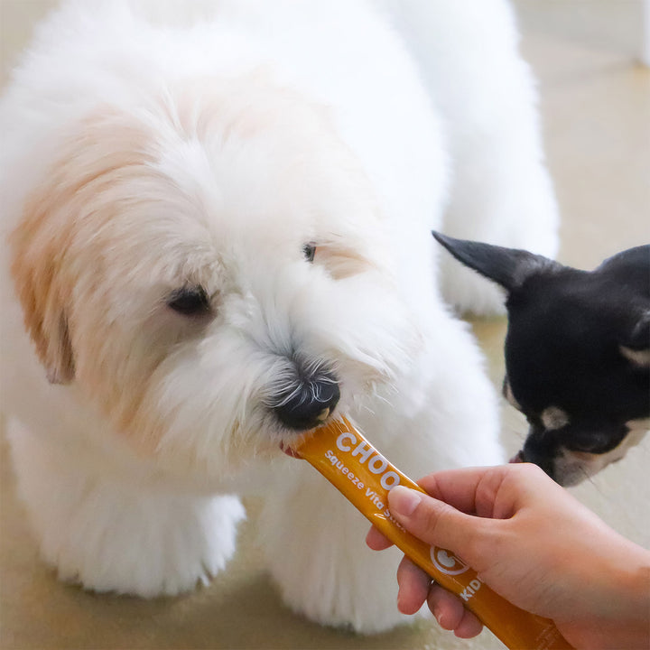 Choolip Squeeze Vita Stick Pouches - Vitamin-Infused Pet Treats