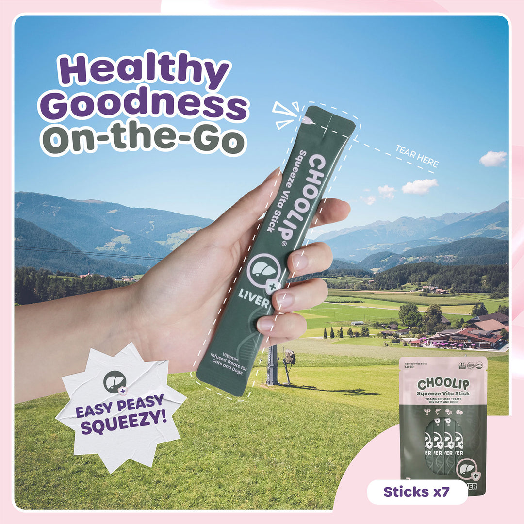 Choolip Squeeze Vita Stick Pouches - Vitamin-Infused Pet Treats