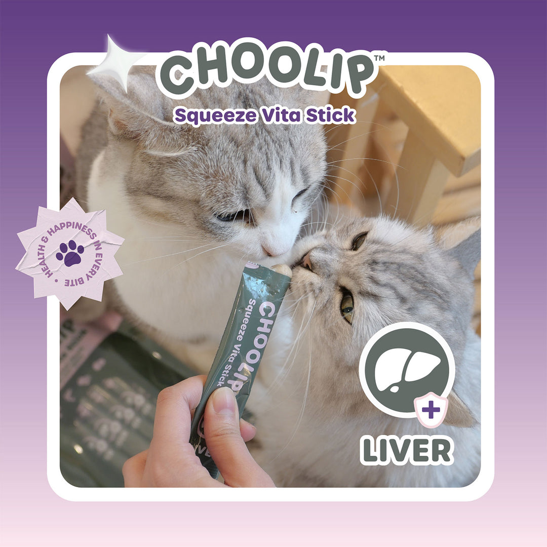 Choolip Squeeze Vita Stick Pouches - Vitamin-Infused Pet Treats