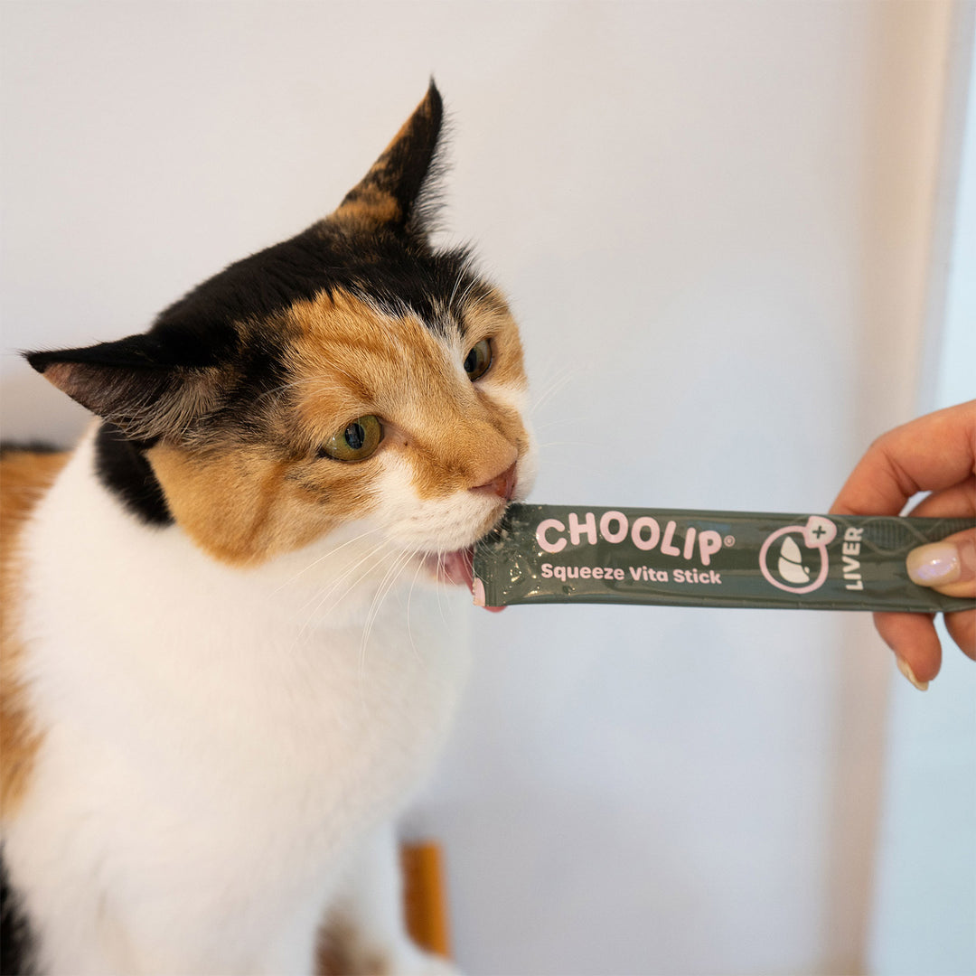 Choolip Squeeze Vita Stick Pouches - Vitamin-Infused Pet Treats