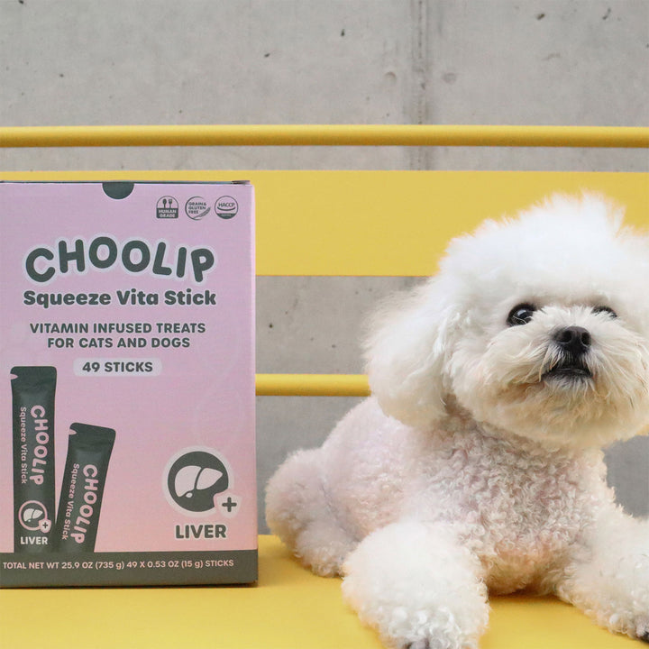 Choolip Squeeze Vita Stick Pouches - Vitamin-Infused Pet Treats