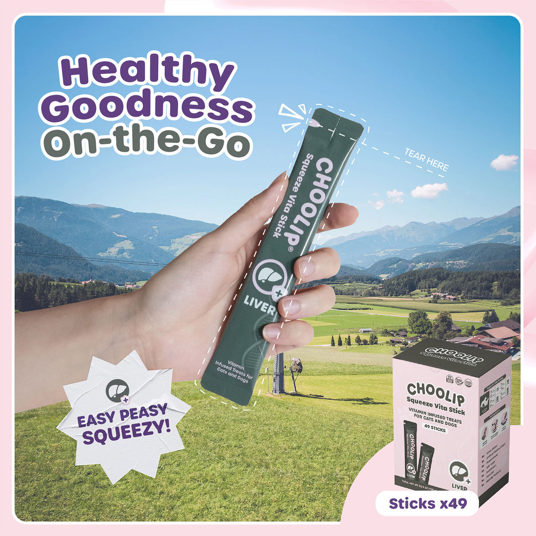 Choolip Squeeze Vita Stick Pouches - Vitamin-Infused Pet Treats