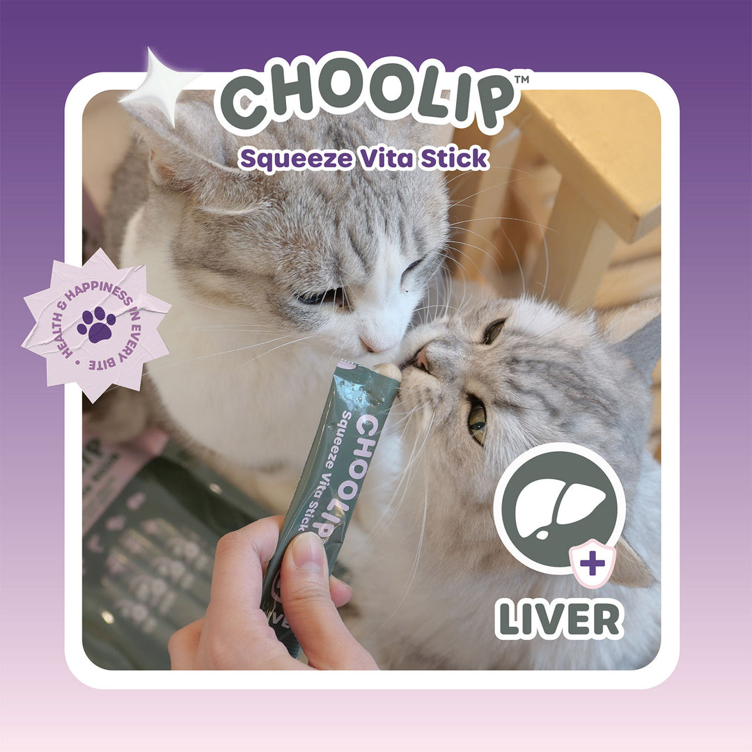 Choolip Squeeze Vita Stick Pouches - Vitamin-Infused Pet Treats
