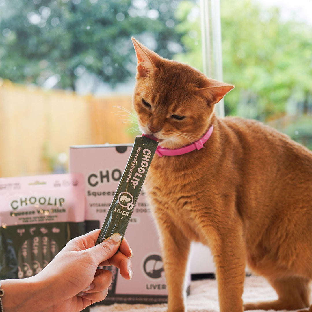 Choolip Squeeze Vita Stick Pouches - Vitamin-Infused Pet Treats