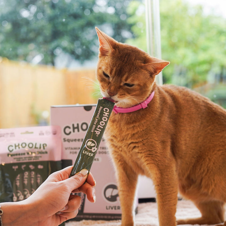 Choolip Squeeze Vita Stick Pouches - Vitamin-Infused Pet Treats