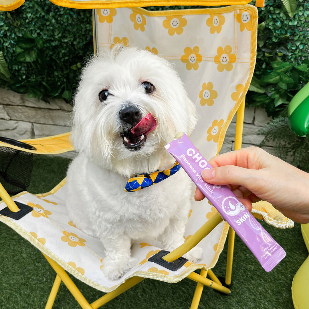 Choolip Squeeze Vita Stick Pouches - Vitamin-Infused Pet Treats