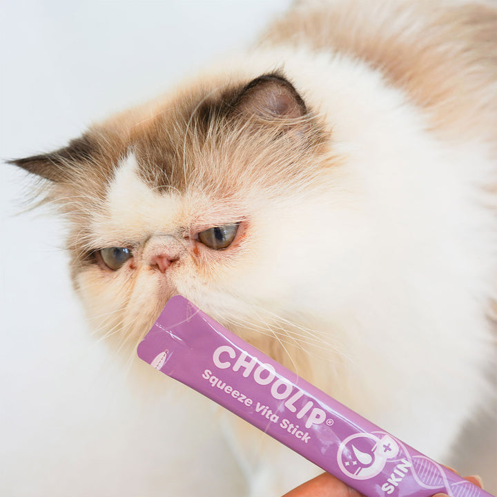 Choolip Squeeze Vita Stick Pouches - Vitamin-Infused Pet Treats