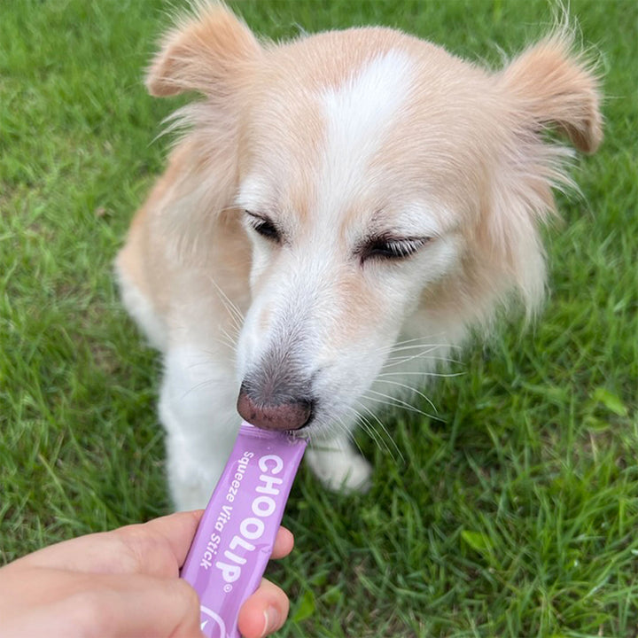 Choolip Squeeze Vita Stick Pouches - Vitamin-Infused Pet Treats