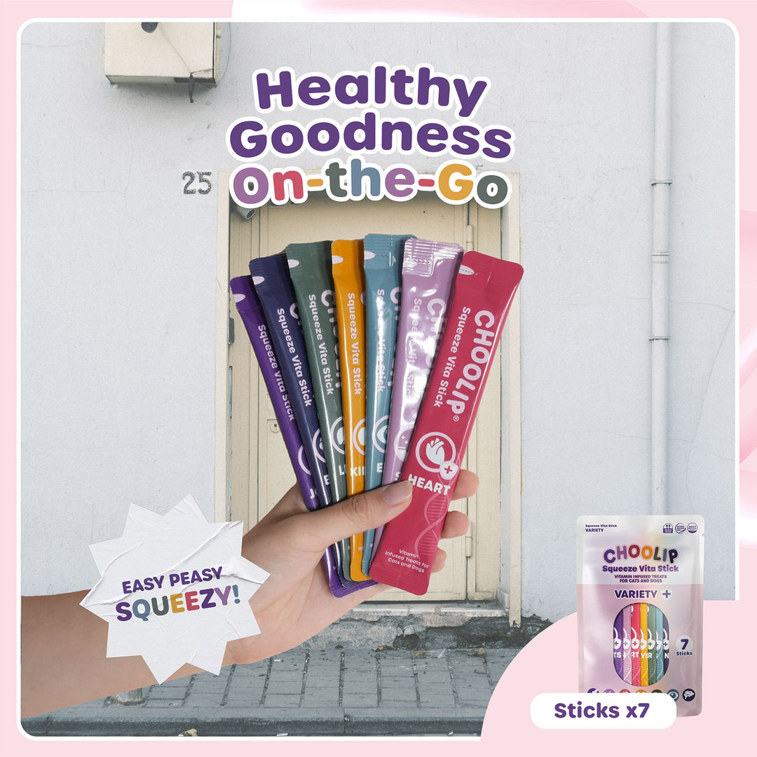 Choolip Squeeze Vita Stick Pouches - Vitamin-Infused Pet Treats