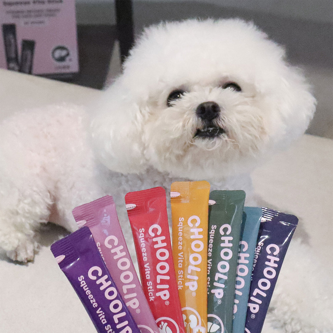 Choolip Squeeze Vita Stick Pouches - Vitamin-Infused Pet Treats