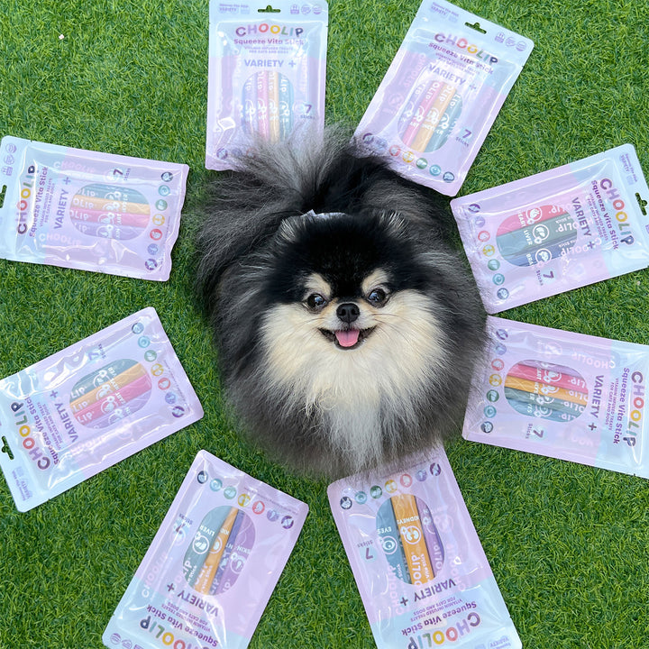 Choolip Squeeze Vita Stick Pouches - Vitamin-Infused Pet Treats