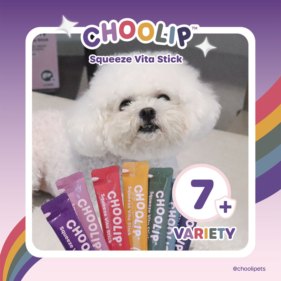 Choolip Squeeze Vita Stick Pouches - Vitamin-Infused Pet Treats