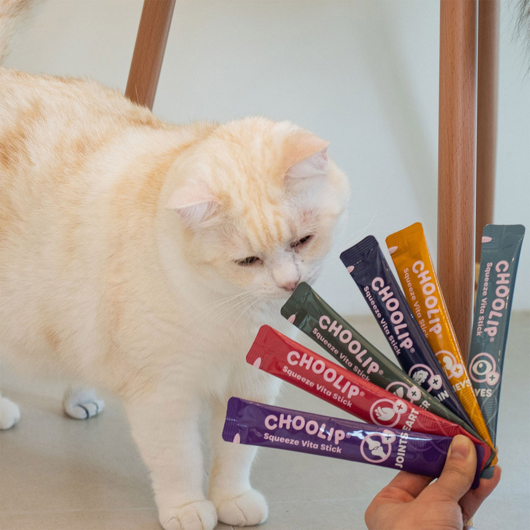 Choolip Squeeze Vita Stick Pouches - Vitamin-Infused Pet Treats