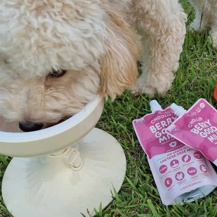 Choolip Berry Good Milk (10 Pouches) - Lactose-Free Vitamin Drink for Pets