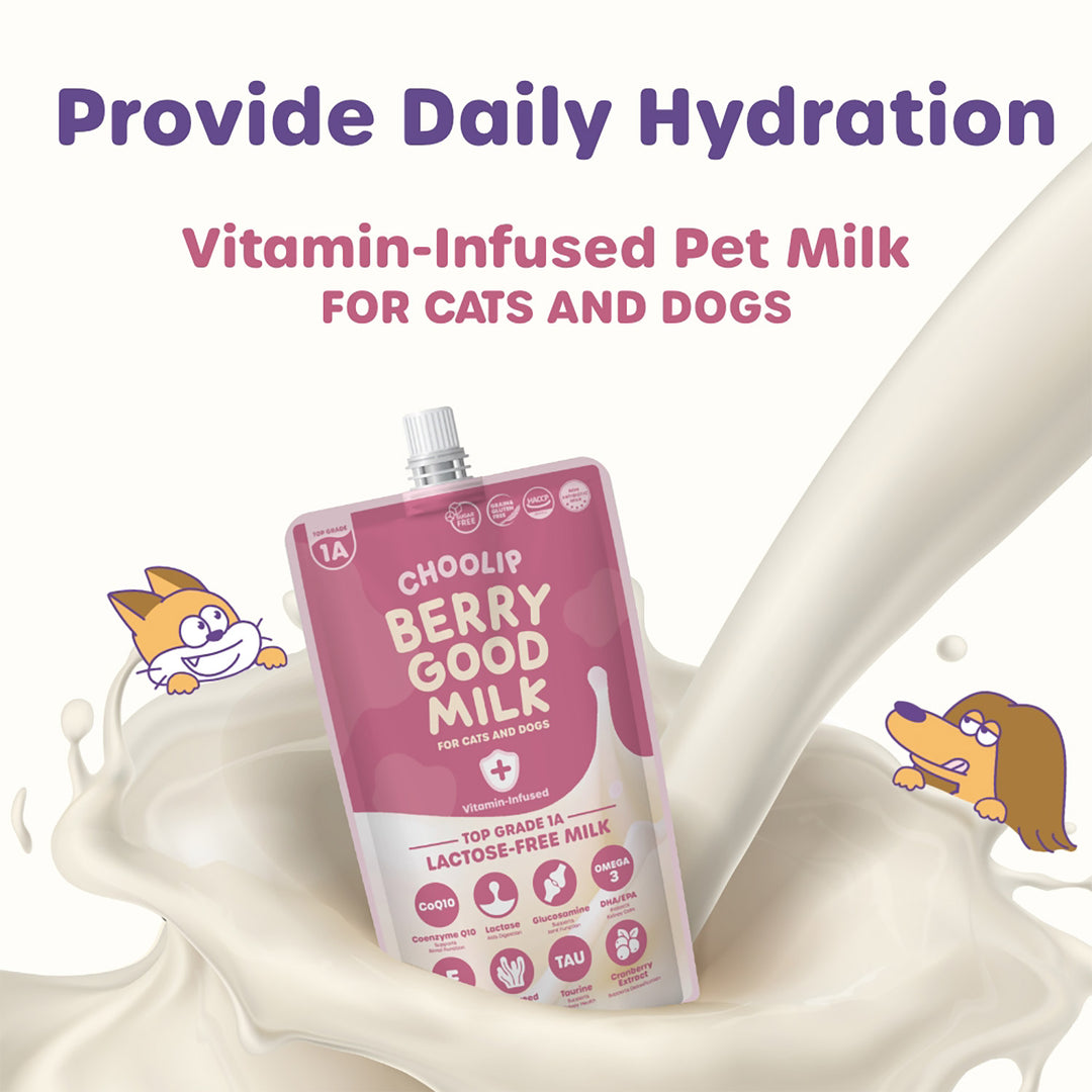 Choolip Berry Good Milk (10 Pouches) - Lactose-Free Vitamin Drink for Pets