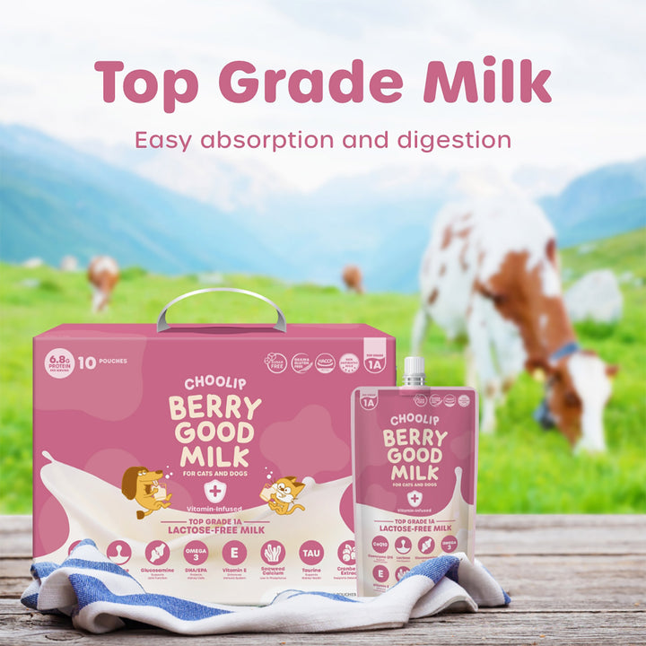 Choolip Berry Good Milk (10 Pouches) - Lactose-Free Vitamin Drink for Pets