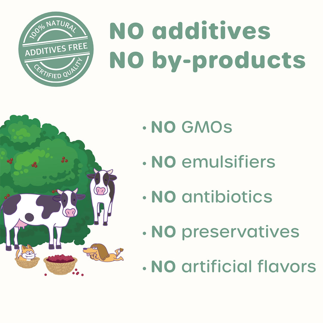 Choolip Berry Good Milk (10 Pouches) - Lactose-Free Vitamin Drink for Pets