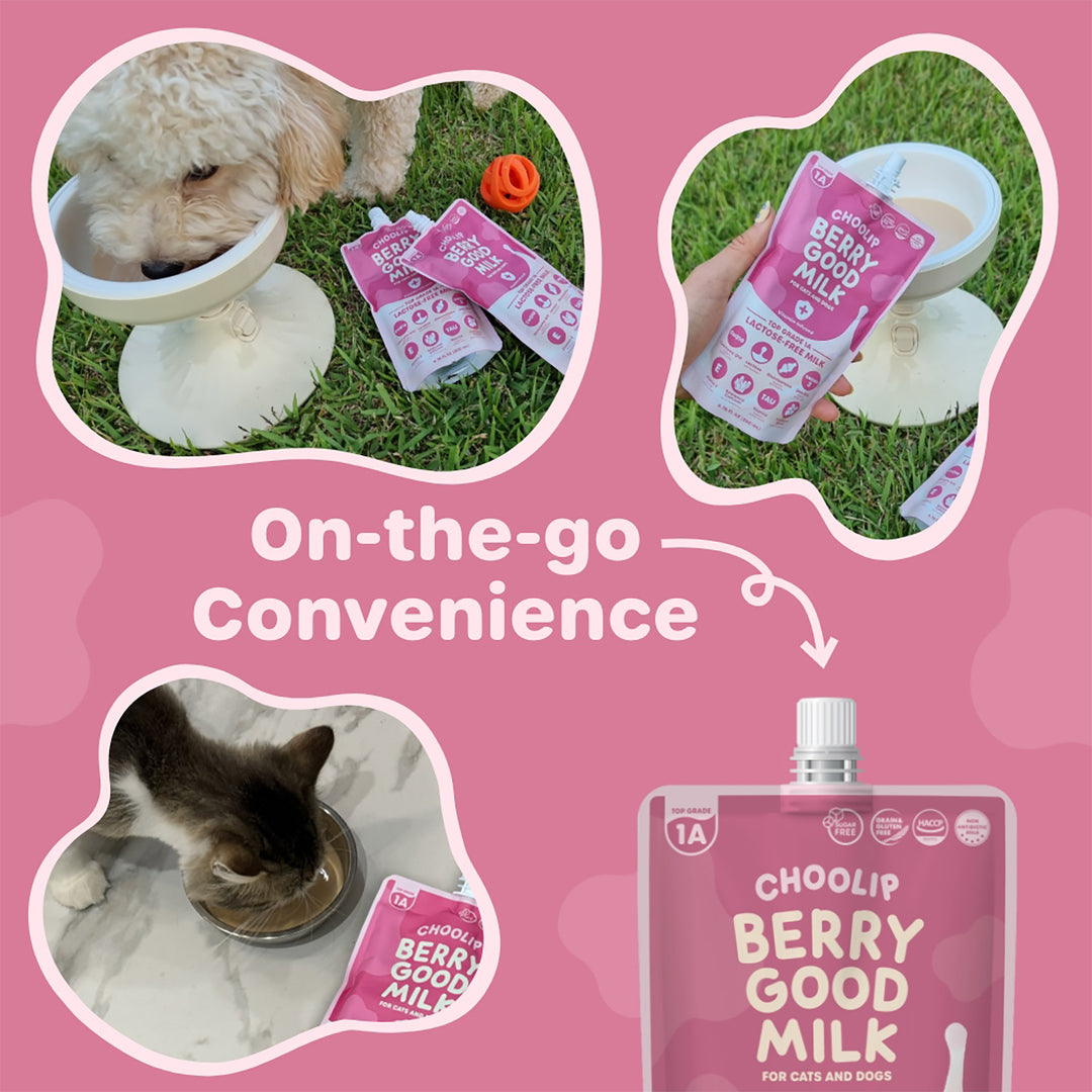 Choolip Berry Good Milk (10 Pouches) - Lactose-Free Vitamin Drink for Pets