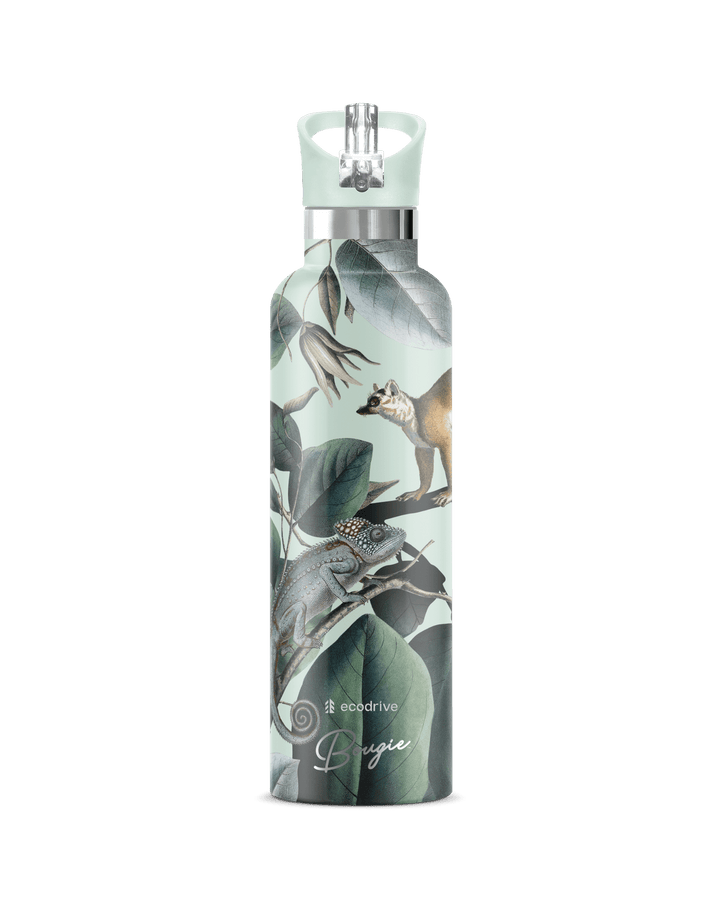 Ecodrive Edition 25oz | Lemur & Chameleon