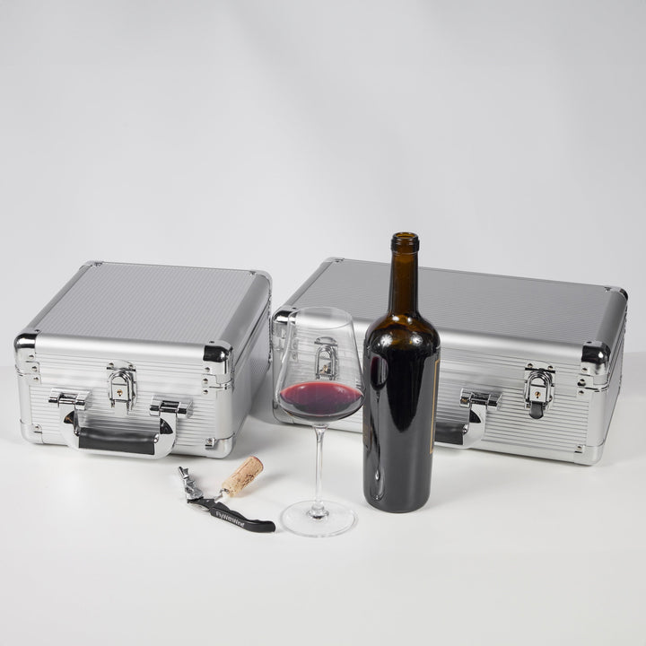 VinBottle and VinGlass Case Bundle