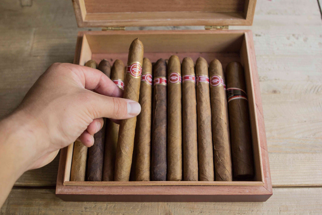 Desktop Analog Cherry Humidor by Case Elegance