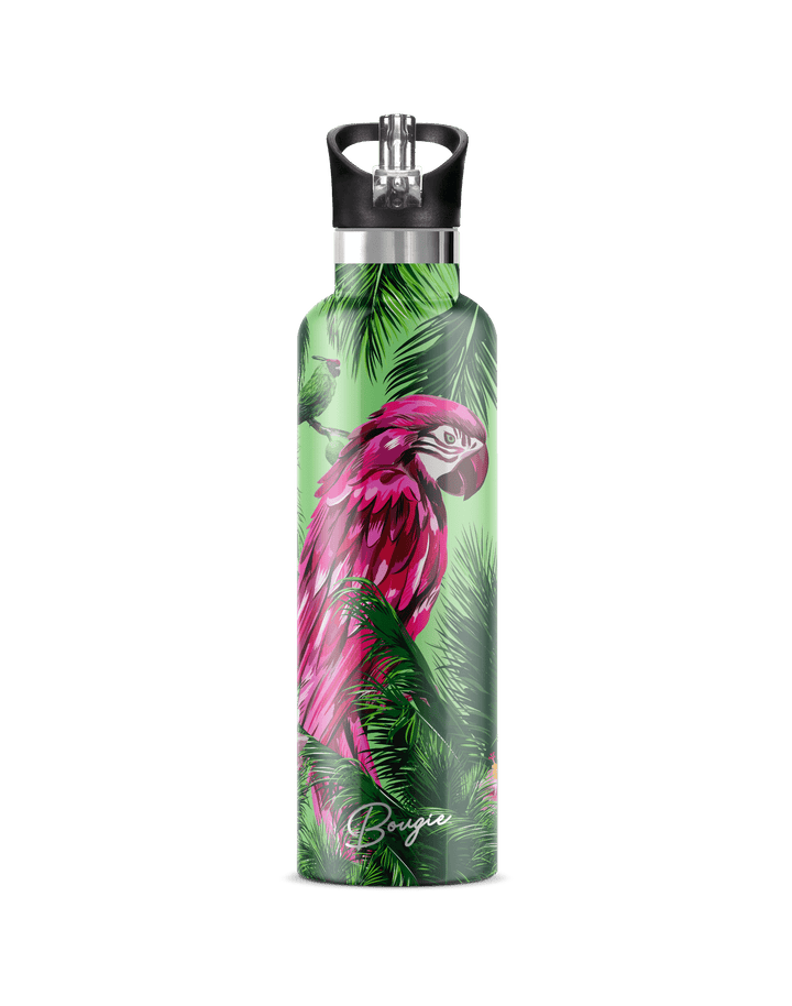 Macaw 25oz | High-Gloss Tropical Parrot Art