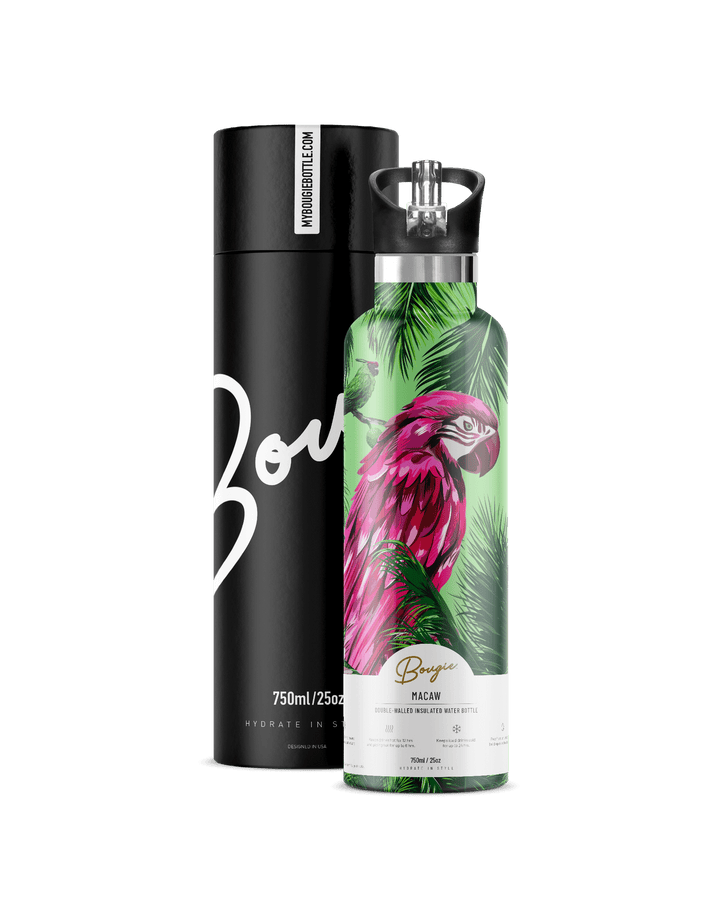 Macaw 25oz | High-Gloss Tropical Parrot Art