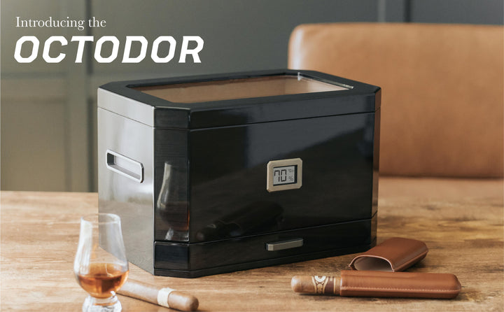 Octodor Glass Top Humidor by Case Elegance