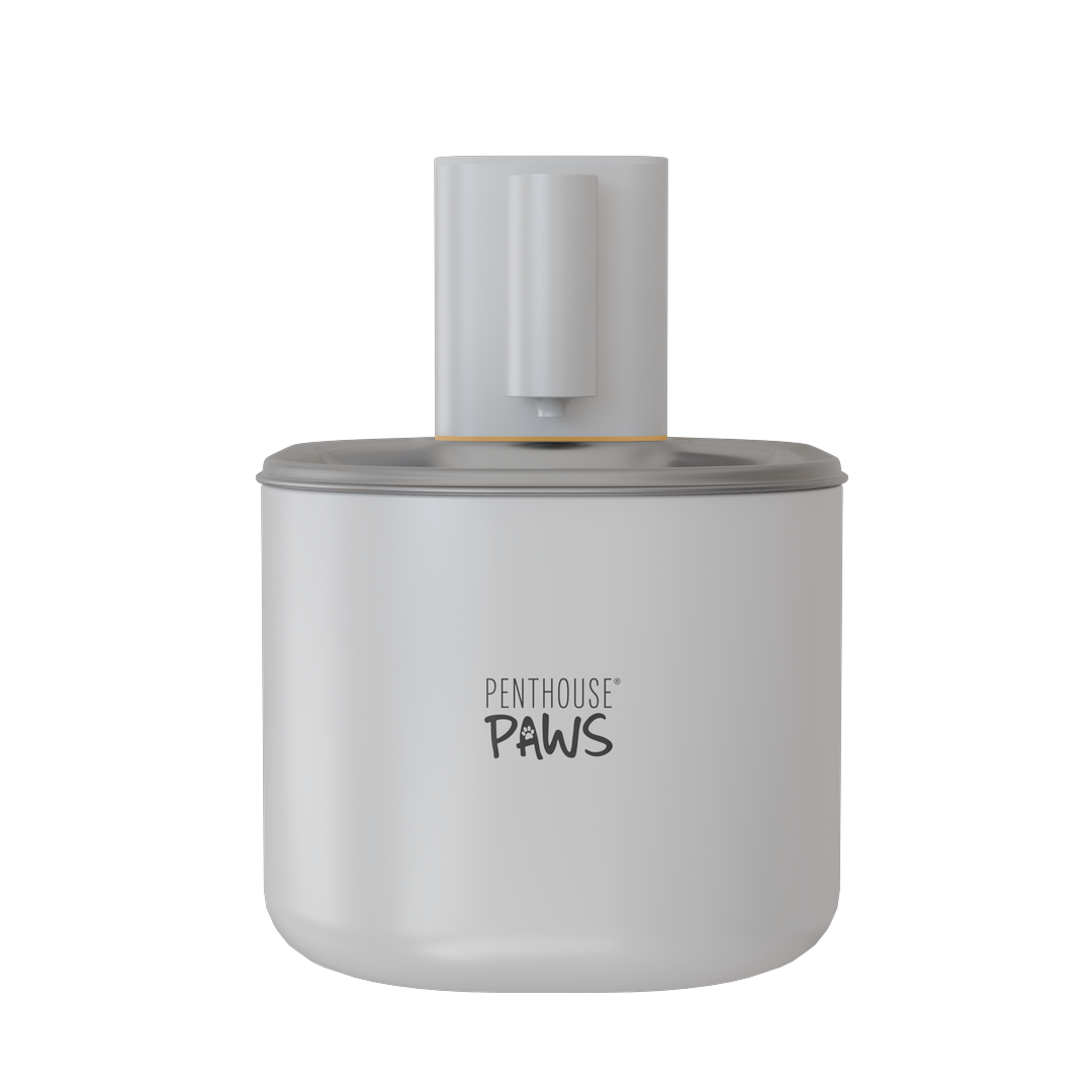 Smart Wireless Water Fountain