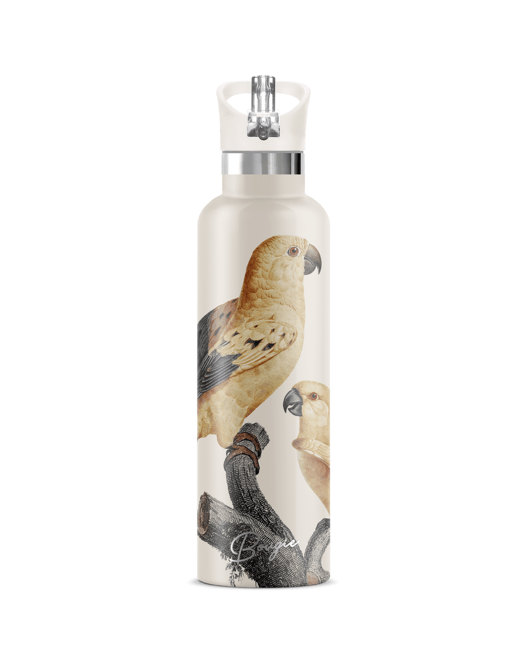 Perico 25oz | Vintage Parrot Illustration