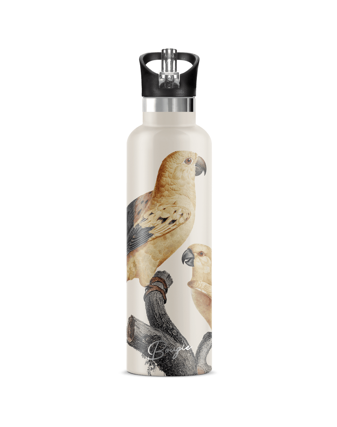 Perico 25oz | Vintage Parrot Illustration