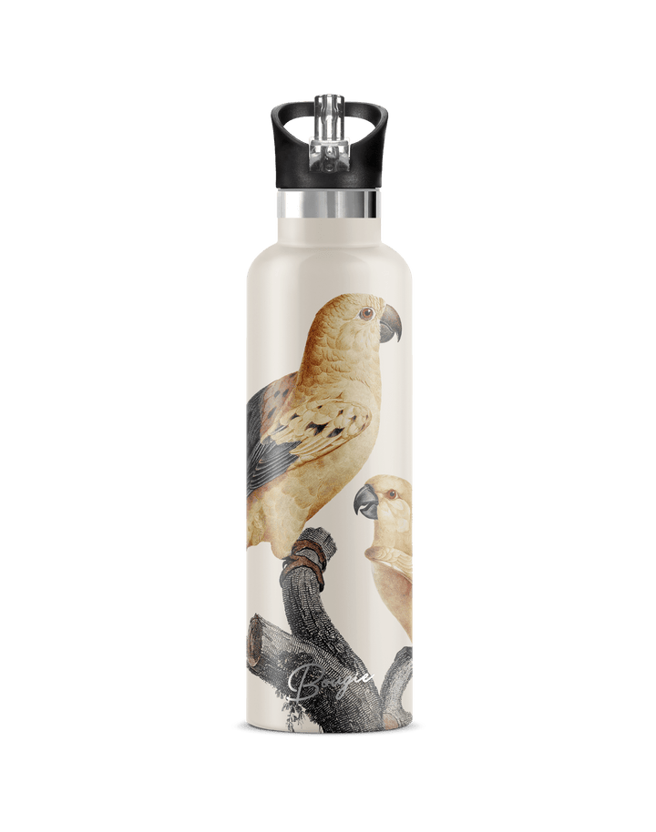 Perico 25oz | Vintage Parrot Illustration