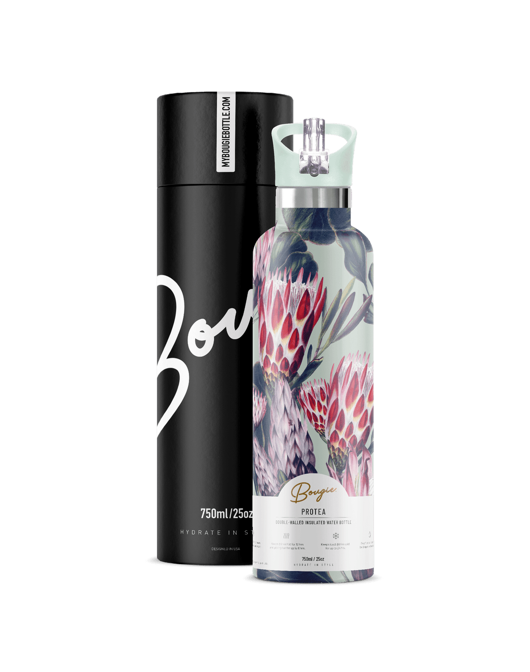 Protea 25 Oz | King Protea Botanical