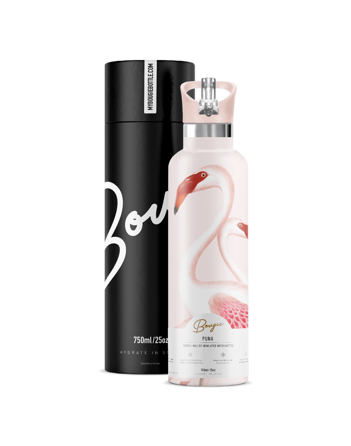 Puna Flamingo 25oz | Audubon Flamingo Art