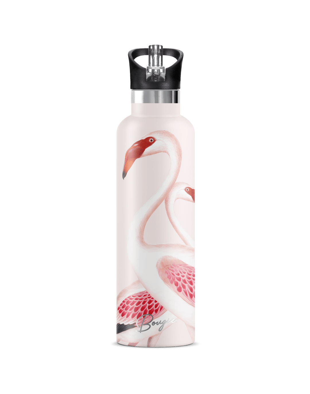 Puna Flamingo 25oz | Audubon Flamingo Art