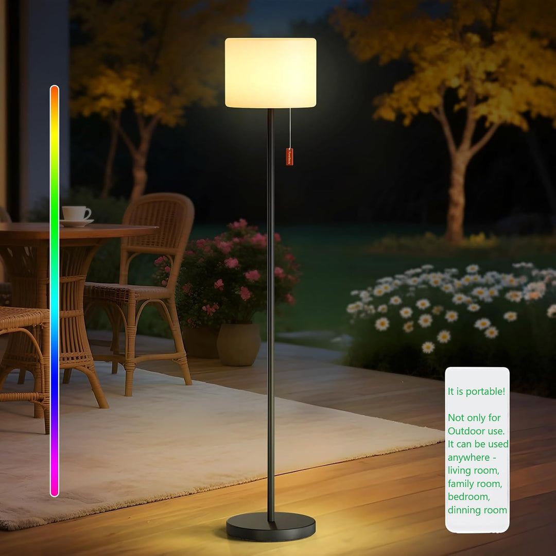 Rechargeable LED Floor Lamp
