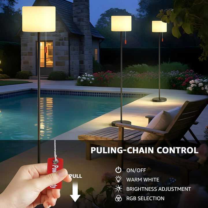 Rechargeable LED Floor Lamp