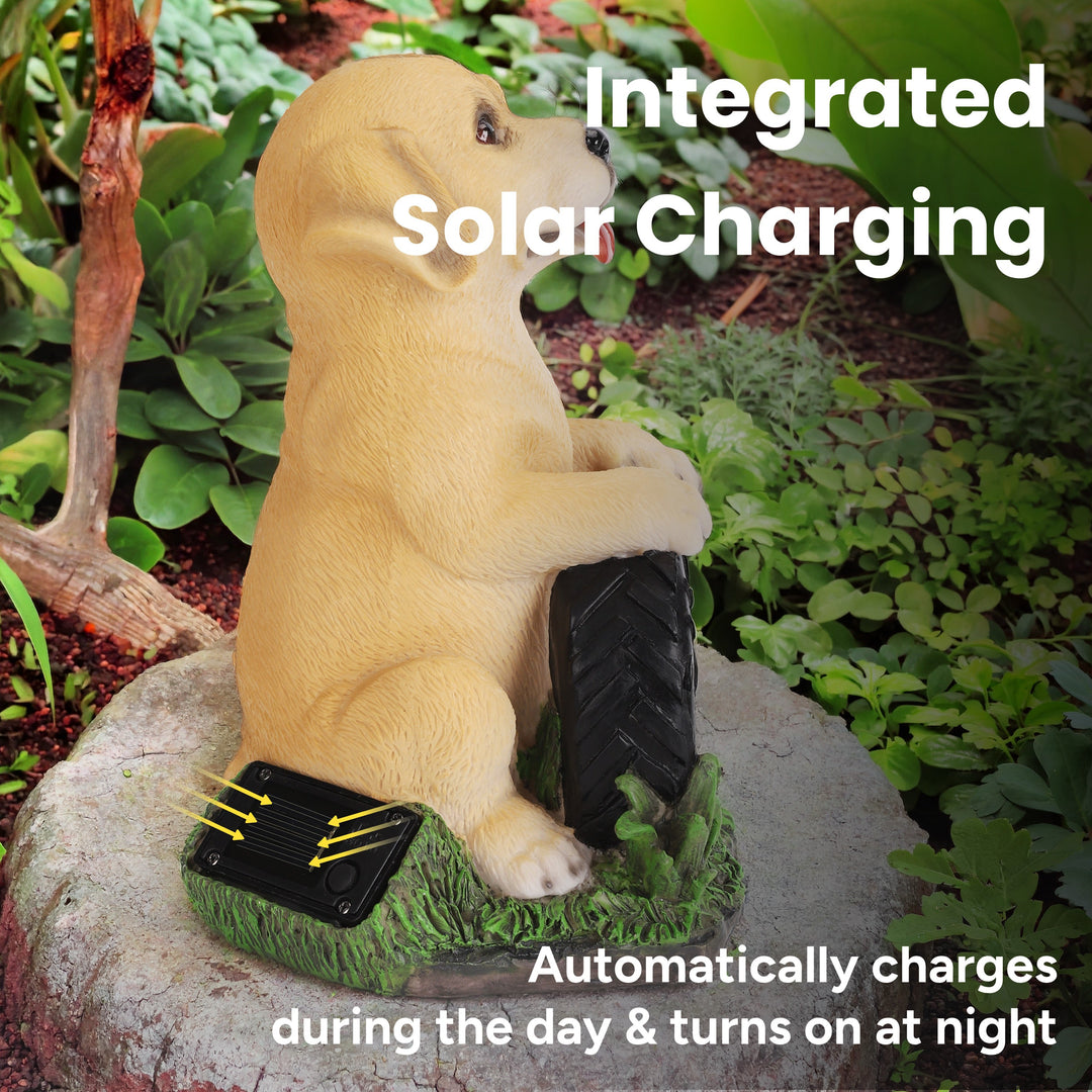 Buddy the Puppy Solar Outdoor Garden Statue With Integrated LED Light