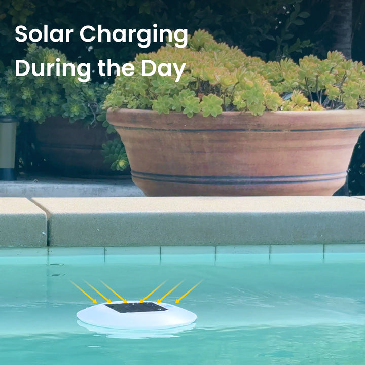 Solar Floating Pool Light Model (2-Pack)