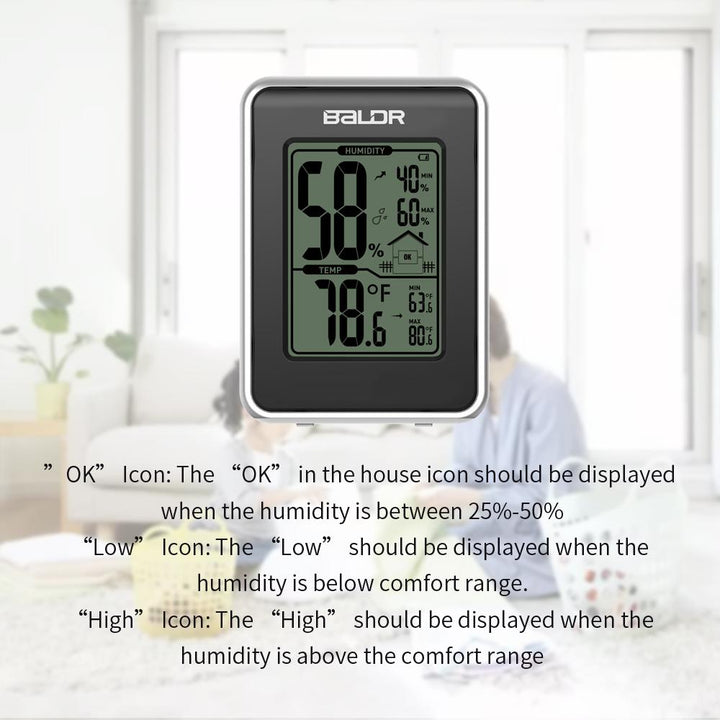 BALDR Trendy Thermo-Hygrometer Indicator