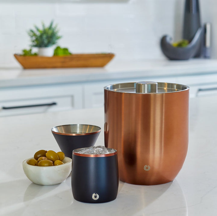 Stainless Steel Rocks Glass, Set of 2 - White by Snowfox