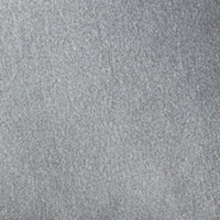 Solid light gray color swatch