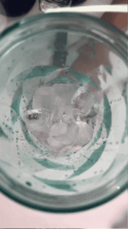 X Ice Crushing Portable Blender (24oz)