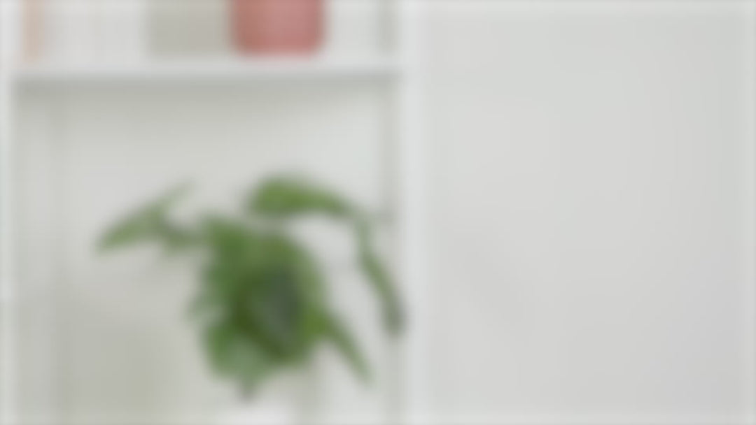 Video showcasing Cozy Nap Brookstone Plush