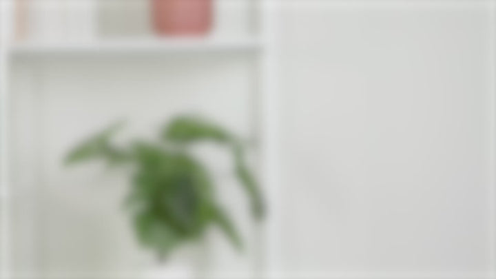 Video showcasing Cozy Nap Brookstone Plush