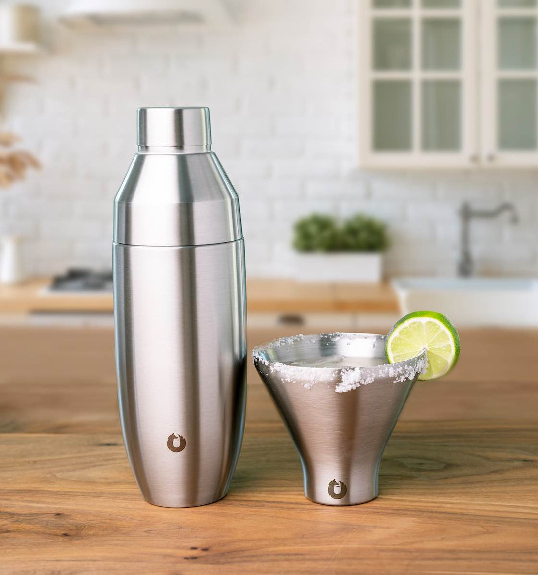 Stainless Steel Cocktail Shaker, Steel by Snowfox