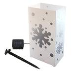 Silver Snowflake