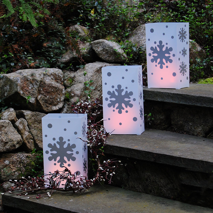 Silver Snowflake